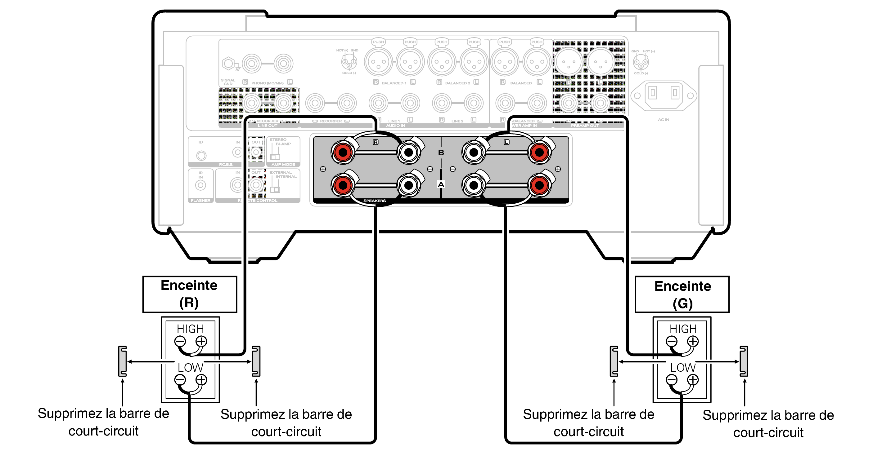 Conne biWiring MODEL10